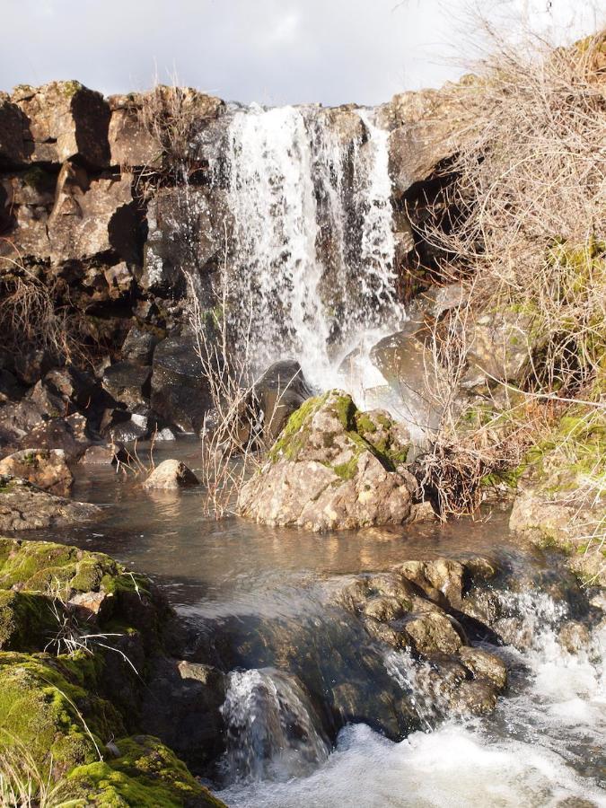 Bear Creek Falls Lodge On 67 Acres Creek & Waterfalls Millville Екстериор снимка