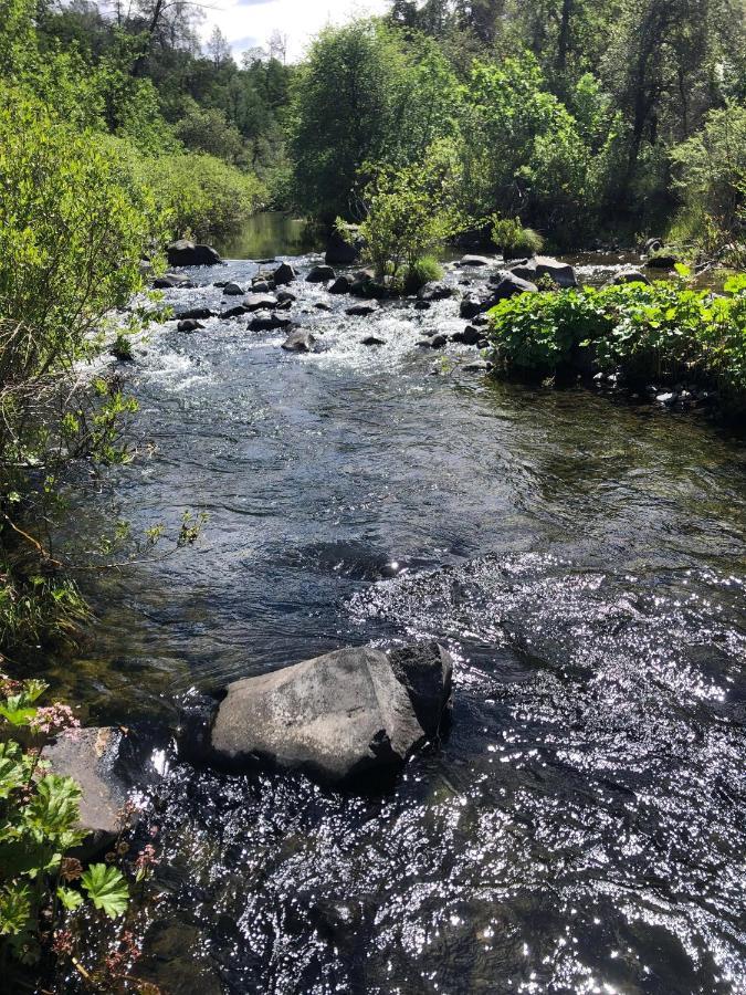 Bear Creek Falls Lodge On 67 Acres Creek & Waterfalls Millville Екстериор снимка